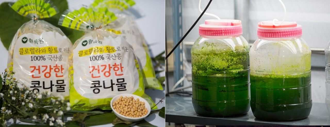 엽록소㈜ 기업소개